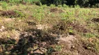 Foto 7 de Fazenda/Sítio com 3 Quartos à venda, 200m² em Nossa Senhora da Guia, Cuiabá