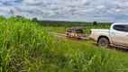 Foto 20 de Fazenda/Sítio à venda, 117m² em Setor Central, Colinas do Tocantins