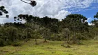 Foto 7 de Fazenda/Sítio com 1 Quarto à venda, 20000m² em , Urubici