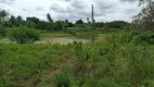 Foto 4 de Fazenda/Sítio com 4 Quartos à venda, 200000m² em Centro, São Gonçalo do Amarante