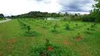 Foto 63 de Casa de Condomínio com 4 Quartos à venda, 234m² em PORTAL DO SOL GREEN, Goiânia