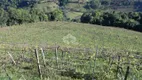 Foto 2 de Fazenda/Sítio com 1 Quarto à venda, 32000m² em Faria Lemos, Bento Gonçalves