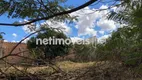 Foto 3 de Lote/Terreno à venda, 300m² em Nossa Senhora Aparecida, Florestal