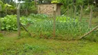 Foto 20 de Fazenda/Sítio à venda, 3130m² em Zona Rural, Tijucas do Sul