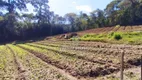 Foto 19 de Fazenda/Sítio com 2 Quartos à venda, 200m² em Campo Limpo, Teresópolis