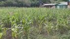 Foto 11 de Fazenda/Sítio com 1 Quarto à venda, 1m² em , Santo Antônio da Patrulha