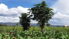 Foto 9 de Lote/Terreno à venda, 20000m² em São José da Serra, Jaboticatubas