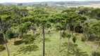 Foto 2 de Fazenda/Sítio à venda, 30000m² em Centro, Campo Alegre