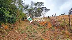 Foto 48 de Fazenda/Sítio com 3 Quartos à venda, 25000m² em São Pedro, Juiz de Fora