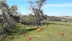 Foto 5 de Fazenda/Sítio à venda, 29000m² em Zona Rural , Santo Anastácio