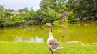 Foto 93 de Casa de Condomínio com 4 Quartos à venda, 500m² em Granja Viana, Cotia