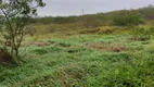 Foto 14 de Fazenda/Sítio com 3 Quartos à venda, 150000m² em Centro, Lagoa de Pedras