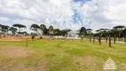 Foto 39 de Fazenda/Sítio com 3 Quartos à venda, 350m² em Miringuava, São José dos Pinhais