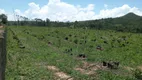 Foto 3 de Fazenda/Sítio à venda em Zona Rural, Uruana