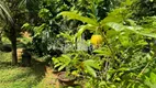 Foto 13 de Fazenda/Sítio com 3 Quartos à venda, 3033m² em Papucaia, Cachoeiras de Macacu