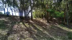 Foto 4 de Lote/Terreno à venda, 2001m² em Jardim das Palmeiras, Campo Largo