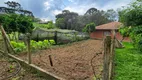 Foto 19 de Fazenda/Sítio com 3 Quartos à venda, 17000m² em Campestre dos Paulas, Mandirituba