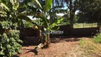 Foto 12 de Fazenda/Sítio à venda, 120m² em Parque Nacional, Londrina