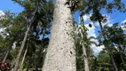 Foto 14 de Fazenda/Sítio com 3 Quartos à venda, 2000m² em Dos Borges, Embu-Guaçu