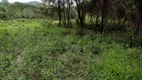 Foto 13 de Lote/Terreno à venda, 20000m² em Zona Rural, Fortuna de Minas