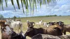 Foto 15 de Fazenda/Sítio com 3 Quartos à venda, 85000m² em Centro, Ielmo Marinho