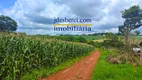 Foto 8 de Lote/Terreno à venda, 120m² em Residencial Florabella, Holambra