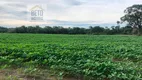 Foto 7 de Fazenda/Sítio à venda, 30201600m² em Zona Rural, Cristalândia