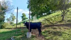 Foto 43 de Fazenda/Sítio com 4 Quartos à venda, 48000m² em Papucaia, Cachoeiras de Macacu