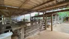 Foto 14 de Fazenda/Sítio com 2 Quartos à venda, 400000m² em Area Rural de Bicas, Bicas