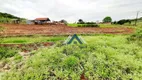 Foto 46 de Fazenda/Sítio com 3 Quartos à venda, 250m² em Usina Três Bocas, Londrina