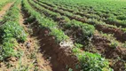 Foto 9 de Fazenda/Sítio com 2 Quartos à venda, 140000m² em , Campo Verde