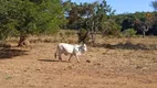 Foto 15 de Fazenda/Sítio à venda, 21950000m² em Area Rural de Sete Lagoas, Sete Lagoas