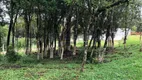 Foto 7 de Lote/Terreno à venda, 2080m² em Borda do Campo, São José dos Pinhais