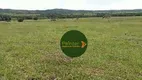 Foto 4 de Fazenda/Sítio à venda, 7163200m² em Zona Rural, Nova América