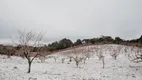 Foto 10 de Lote/Terreno à venda, 800m² em Mato Queimado, Gramado