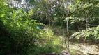 Foto 4 de Fazenda/Sítio com 3 Quartos à venda, 10000m² em Zona Rural, Caeté