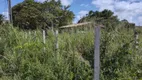 Foto 5 de Lote/Terreno à venda, 450m² em Ilha da Croa, Barra de Santo Antônio