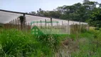 Foto 24 de Fazenda/Sítio com 3 Quartos à venda, 230m² em Zona Rural, Piedade