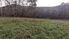 Foto 4 de Fazenda/Sítio para alugar, 5500m² em Água Branca, Francisco Beltrão