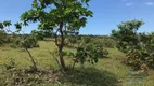 Foto 14 de Lote/Terreno à venda, 50396m² em Timbu, Eusébio