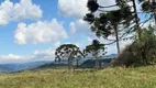 Foto 26 de Fazenda/Sítio com 4 Quartos à venda, 1000000m² em Perico, São Joaquim