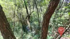 Foto 21 de Fazenda/Sítio com 2 Quartos à venda, 40m² em Centro, Brumadinho