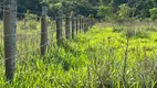 Foto 10 de Lote/Terreno à venda, 20000m² em Zona Rural, Pirenópolis