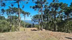 Foto 5 de Fazenda/Sítio à venda, 20000m² em Esquina, Urubici