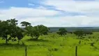 Foto 14 de Fazenda/Sítio à venda, 3146000m² em Zona Rural, Nova Xavantina