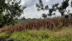 Foto 10 de Fazenda/Sítio com 3 Quartos à venda, 167m² em Centro, Balsa Nova