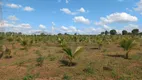 Foto 16 de Fazenda/Sítio com 2 Quartos à venda, 36300m² em Zona Rural, Elias Fausto