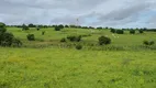 Foto 8 de Fazenda/Sítio com 4 Quartos à venda, 30000m² em Monte Alegre, Monte Alegre