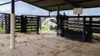 Foto 24 de Fazenda/Sítio com 5 Quartos à venda, 3360000m² em Zona Rural, Paracatu