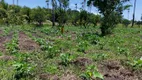 Foto 59 de Fazenda/Sítio à venda, 2900000m² em , Guaiúba